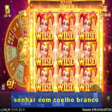 sonhar com coelho branco